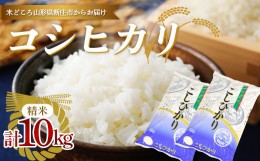 【ふるさと納税】【数量限定】令和5年産 新庄産米 コシヒカリ 精米 10kg（5kg×2袋） お米 コメ F3S-2004