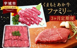 【ふるさと納税】牛肉 くまもと あか牛 ファミリー 3か月 定期便