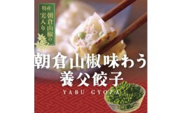 【ふるさと納税】＜山椒の実入り＞朝倉山椒味わう養父餃子(要冷凍/12個入り)×2パック【1471845】