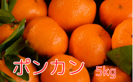 【ふるさと納税】＜先行予約＞ポンカン  5kg ※2025年1月中旬以降随時発送予定 / 田辺市 和歌山 みかん ミカン 柑橘 温州みかん フルーツ