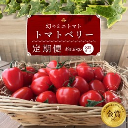 【ふるさと納税】【先行受付!!】11月〜6月毎月発送　幻のミニトマト　トマトベリーの定期便　8回コース【個数限定】　H004-141