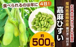 【ふるさと納税】年に1度の青々とした若さをお届け！希少な嘉麻ひすい根付き枝付き 生枝豆 約500g 【2024年10月上旬〜10月下旬発送予定】