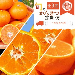 【ふるさと納税】G60-T43_【定期便 全3回】紀州和歌山産 旬の柑橘セット（みかん・ポンカン・紀州デコ）