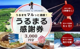 【ふるさと納税】うるまる感謝券　3000円分