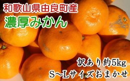 【ふるさと納税】【訳あり・ご家庭用】和歌山由良町産のみかん約5kg ※着日指定不可 ※2024年11月下旬〜12月下旬頃に順次発送予定