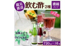 【ふるさと納税】お酢のイメージを変える!ドリンクビネガー2種6本セット(濃縮タイプ飲む酢/山梨産ワインビネガー使用)【1488388】