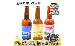 【ふるさと納税】【じくうラボ。】 飲み比べセット ３種 各2本 計6本 (キーホルダー栓抜き付き) HORSEHEAD LABS クラフトビール ご当地ビ