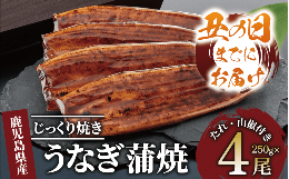 【ふるさと納税】【丑の日に合わせてお届け！】【鹿児島県産】うなぎ蒲焼じっくり焼き約250g×4尾 木目化粧箱入り(大新/038-1108u)【2024