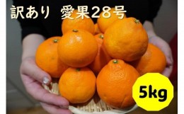 【ふるさと納税】訳あり 愛果28号 5kg サイズミックス 【2024年12月配送】みかん 愛媛 数量限定 先行予約 柑橘 伊予市｜B220