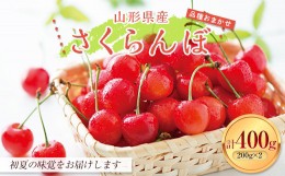 【ふるさと納税】FYN9-925 ≪先行予約≫2024年 山形県産 おまかせ さくらんぼ 秀品400g（200g×2パック） 2024年6月中旬から順次発送 果