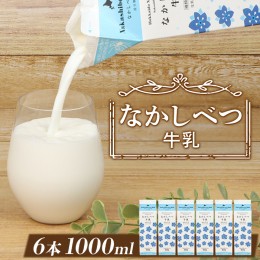 【ふるさと納税】北海道なかしべつ牛乳 1L×６本【14026】