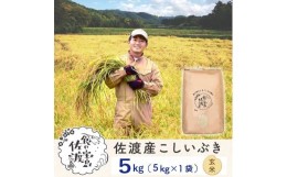 【ふるさと納税】佐渡島産 こしいぶき 玄米5kg×1袋【令和5年産】〜農薬5割減〜