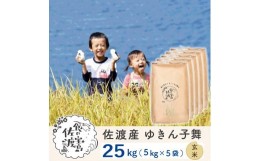 【ふるさと納税】佐渡島産 ゆきん子舞 玄米25kg(5kg×5袋)【令和5年産】