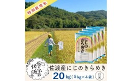 【ふるさと納税】佐渡島産 にじのきらめき 白米20kg (5kg×4袋)【令和5年産】特別栽培米