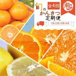 【ふるさと納税】G60-T48_【定期便 全4回】紀州和歌山産旬の柑橘セット（みかん・ポンカン・レモン・清見）