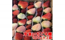 【ふるさと納税】110006　冷凍いちご4種　500ｇ×3袋