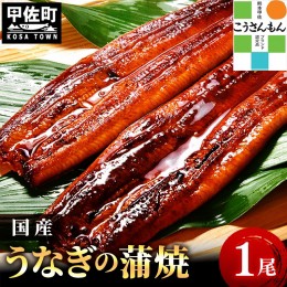 【ふるさと納税】【熊本産 国産】 うなぎ 蒲焼き 1尾【150ｇ以上】