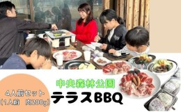 【ふるさと納税】[?5311-1018]中央森林公園 テラスBBQ 4人前セット (1人前 肉200g) ランチ 手ぶら お手軽 バーベキュー