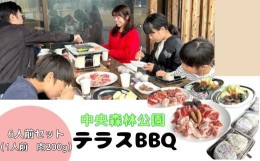 【ふるさと納税】[?5311-1019]中央森林公園 テラスBBQ 6人前セット (1人前 肉200g) ランチ 手ぶら お手軽 バーベキュー