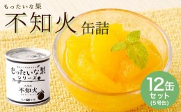 【ふるさと納税】【訳あり】もったいな果シリーズ 不知火 缶詰 5号缶×12缶 セット