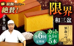 【ふるさと納税】【全6回定期便】 長崎カステラ 琴海の心 0.5号(5切)×5本 長崎市/琴海堂 [LBN017]