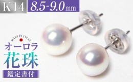 【ふるさと納税】花珠 あこや真珠 8.5-9.0mm 鑑定書付 ピアス K14WG / 真珠 パール アクセサリー ジュエリー ギフト 贈り物 長崎市/株式