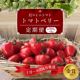 【ふるさと納税】1月〜6月毎月発送 　幻のミニトマト トマトベリーの定期便 約700g×6回コース　H004-169