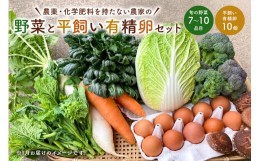 【ふるさと納税】12月発送　農薬・化学肥料を持たない農家の野菜（7〜10種類）と 平飼有精卵のセット mi0036-0017-12