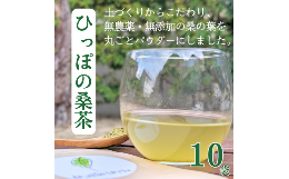 【ふるさと納税】 ひっぽの桑茶10袋セット【09110】