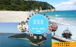 【ふるさと納税】300 無人島（地ノ島）の浜辺でBBQ（4名様）(A300-1)