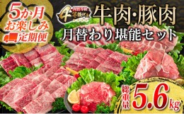 【ふるさと納税】【令和6年6月から毎月発送】5か月 お楽しみ 定期便 牛肉 豚肉 月替わり 堪能 セット 総重量5.6kg 肉 牛 豚 国産 食品 お