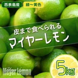 【ふるさと納税】まとめてお得 果汁たっぷり マイヤーレモン（島レモン）約5kg