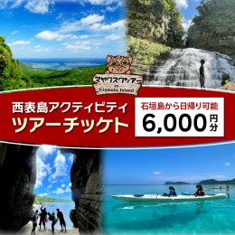 【ふるさと納税】旅行券 沖縄 チケット 西表島 アクティビティ ツアーチケット 6,000円 旅行クーポン 旅行 体験 観光 クーポン