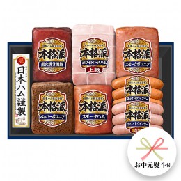 【ふるさと納税】【 お中元 熨斗付 】 日本ハム 筑西工場 ギフトセットD 肉 にく 贈答 ギフト 詰め合わせ ハム ソーセージ ウィンナー 生