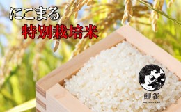 【ふるさと納税】熊本県あさぎり町ミネラル農法【鯉雀米22kg】米  熊本県産 にこまる 白米