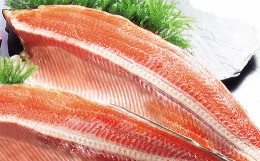 【ふるさと納税】甘塩紅鮭フィレ　1.6kg　【04203-0779】