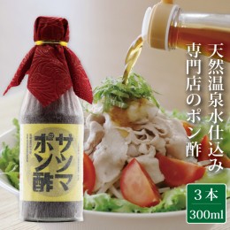 【ふるさと納税】AS-018 【飲み干したくなる旨さ】サツマポン酢 3本 (鹿児島屋台村SATSUMA)甘口 調味料 ぽん酢