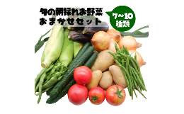 【ふるさと納税】旬の朝採れお野菜おまかせセット