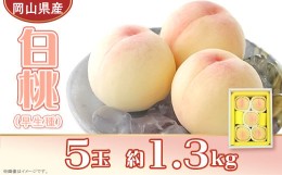 【ふるさと納税】岡山県産 白桃5玉（約1.3kg）