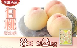 【ふるさと納税】岡山県産 白桃8玉（約2.0kg）