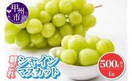 【ふるさと納税】朝どれ シャインマスカット 500g以上 1房 農家直送【2024年発送】（IS）A08-465