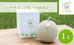 【ふるさと納税】【2024年7月上旬より順次発送】ふらのメロン「陽 〜HARU〜」大玉(2.3kg以上)×1玉 ( 赤肉 )( くりす農園 )