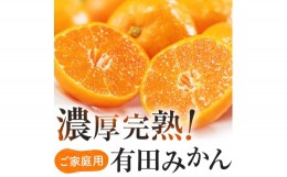 【ふるさと納税】有田育ちのご家庭用完熟 有田みかん 5kg ※12月上旬〜12月下旬頃より順次発送