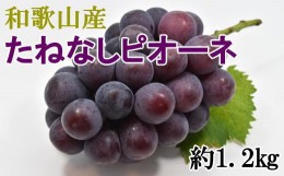 【ふるさと納税】【新鮮・産直】和歌山県産たねなしピオーネ約1.2kg（2房〜3房） ※着日指定不可 ※北海道・沖縄・離島への配送不可 ※20