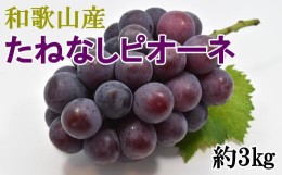 【ふるさと納税】【新鮮・産直】和歌山県産たねなしピオーネ約3kg（4房〜7房） ※着日指定不可 ※北海道・沖縄・離島への配送不可 ※2024