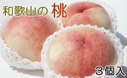 【ふるさと納税】【産直・人気の特産品】和歌山の桃　3玉入り ※着日指定不可 ※北海道・沖縄・離島への配送不可 ※2024年6月下旬〜8月上