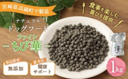 【ふるさと納税】＜ファインちび華 1kg＞翌月末迄に順次出荷