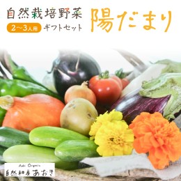 【ふるさと納税】【数量限定】自然栽培野菜セット（陽だまり）