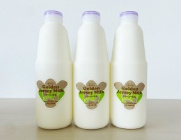 【ふるさと納税】ジャージーゴールデンミルク　900ml×3本