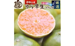 【ふるさと納税】厳選 極早生有田みかん 2kg+60g（傷み補償分）【YN26・ゆら早生】＜2024年9月中旬より発送＞